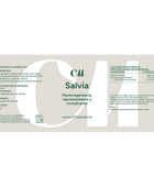 Salvia
