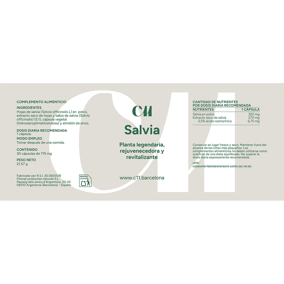 Salvia